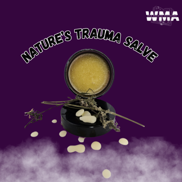 Nature's Trauma Salve